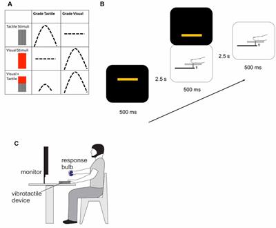 A History of Concussion Affects Relevancy-Based Modulation of Cortical Responses to Tactile Stimuli